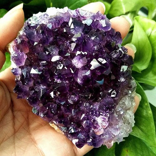 100 150g large natural - 100-150g,