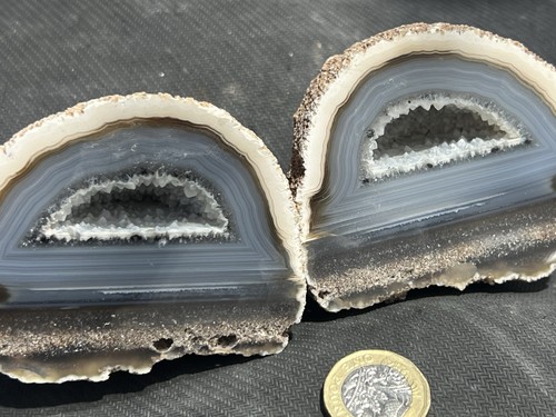 Whole cut blue - blue, sliced