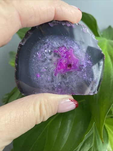 Gorgeous polished dyed - polished,