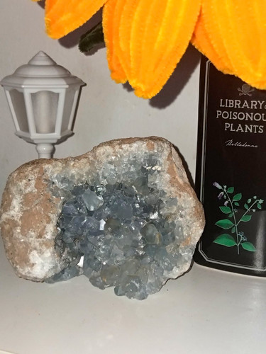 Large celestite geode - celestite, crystal
