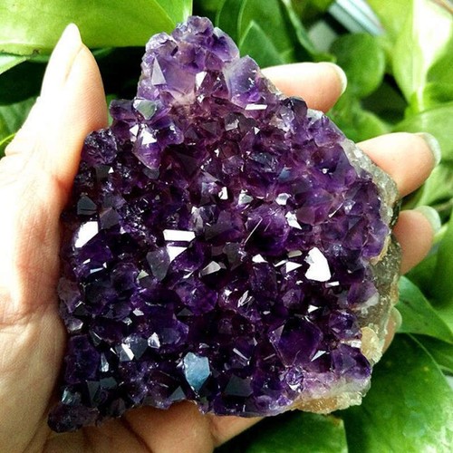 Natural-Amethyst-Cluster-Quart