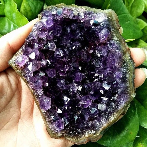 Natural amethyst cluster - amethyst,