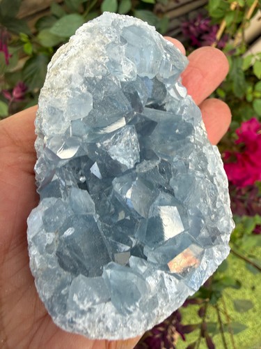 Celestite crystal geode - crystal,